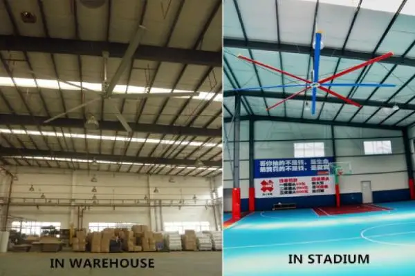 Kale Fan Tempat Presisi Bertemu Kenyamanan dalam Logistik